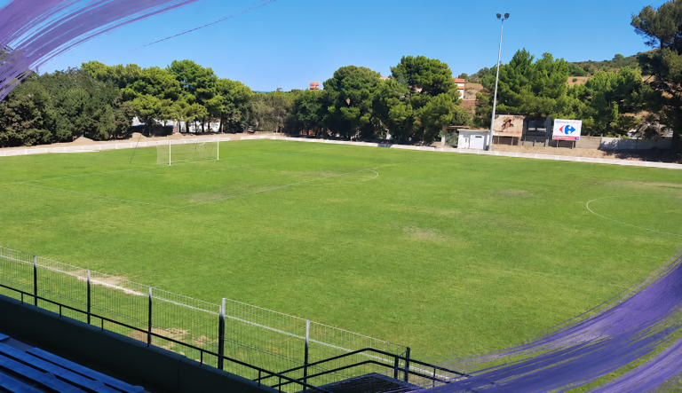 Stade aux courbes mauve discrètes