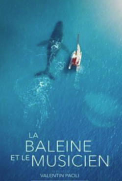 Affiche du film La Baleine et le Musicien, avec une baleine et une embarcation sur une mer bleue