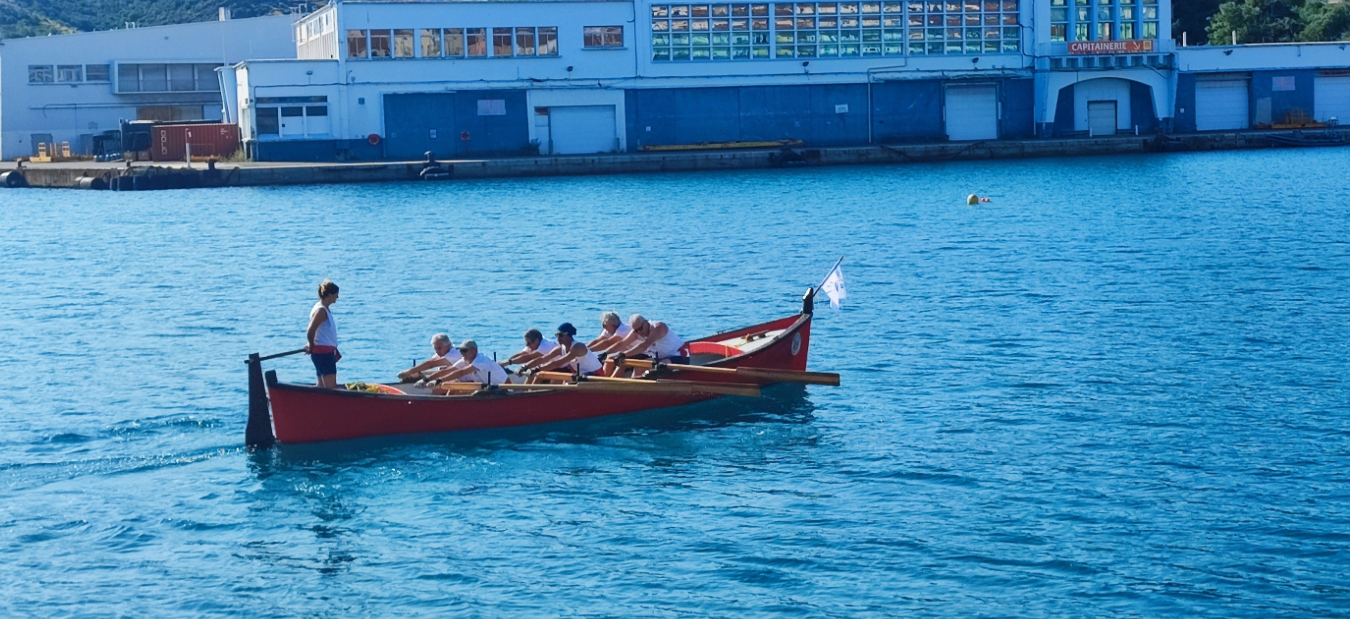 Rameurs à bord de barques traditionnelles dans le port de Port-Vendres